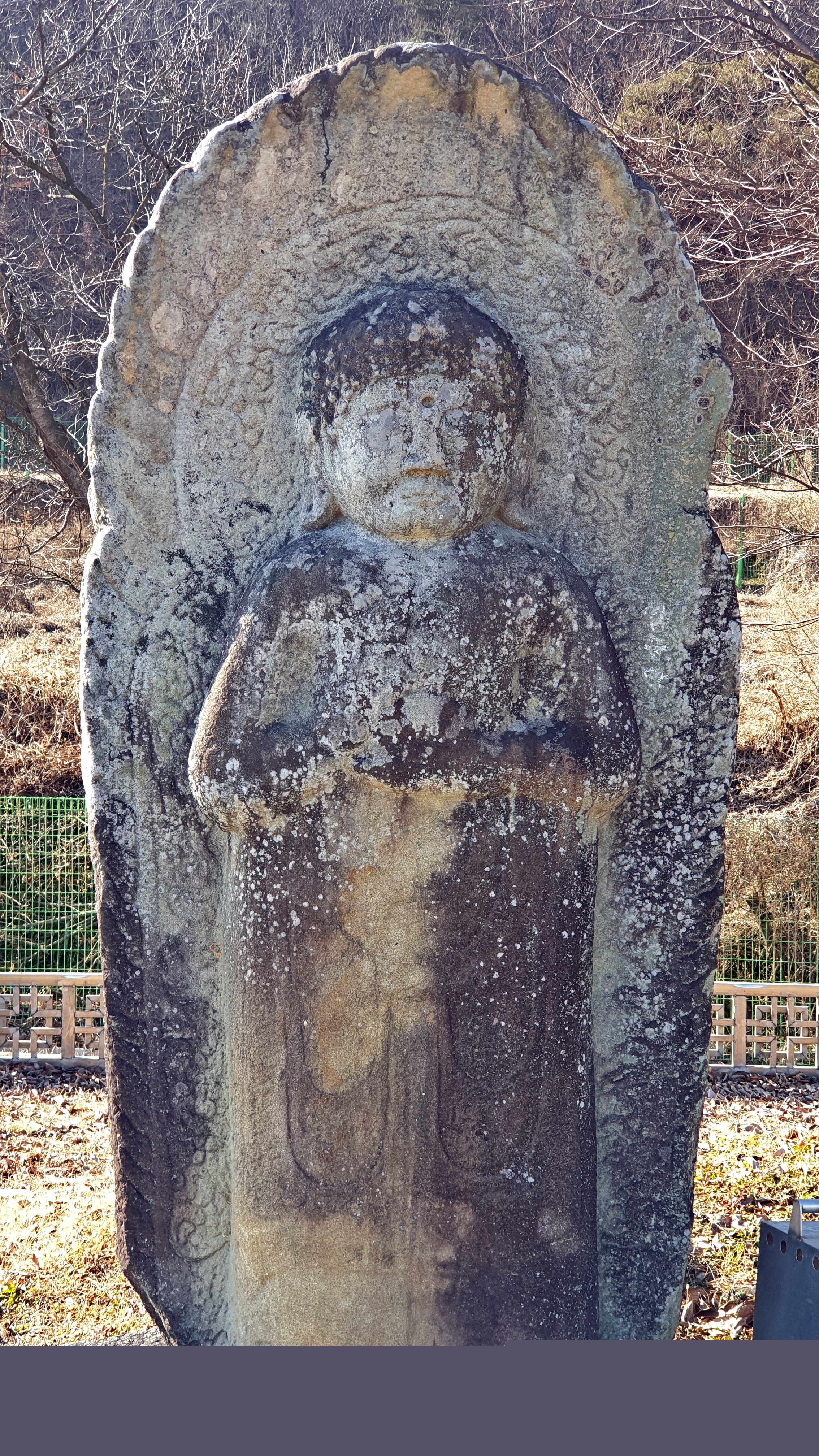 군위 위성리 석조약사여래입상