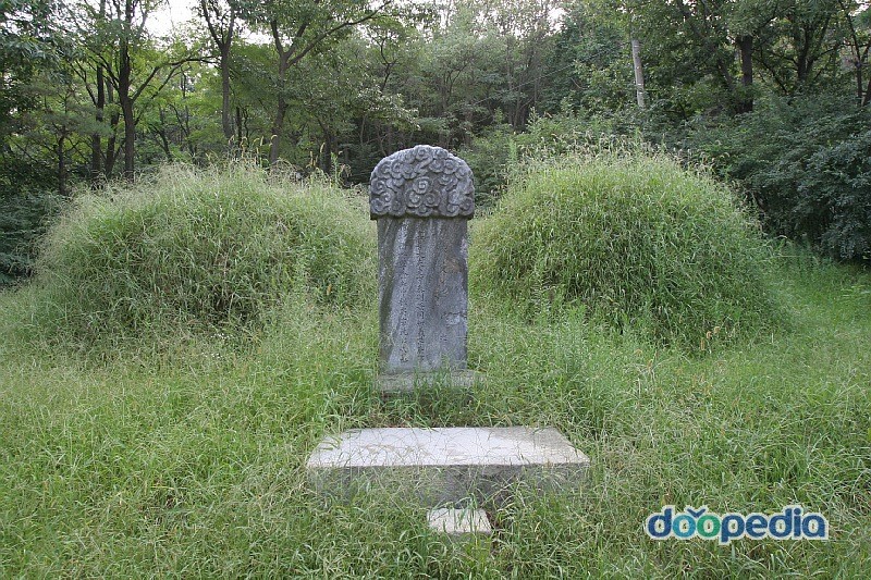 풍산 심씨 문정공파 묘역