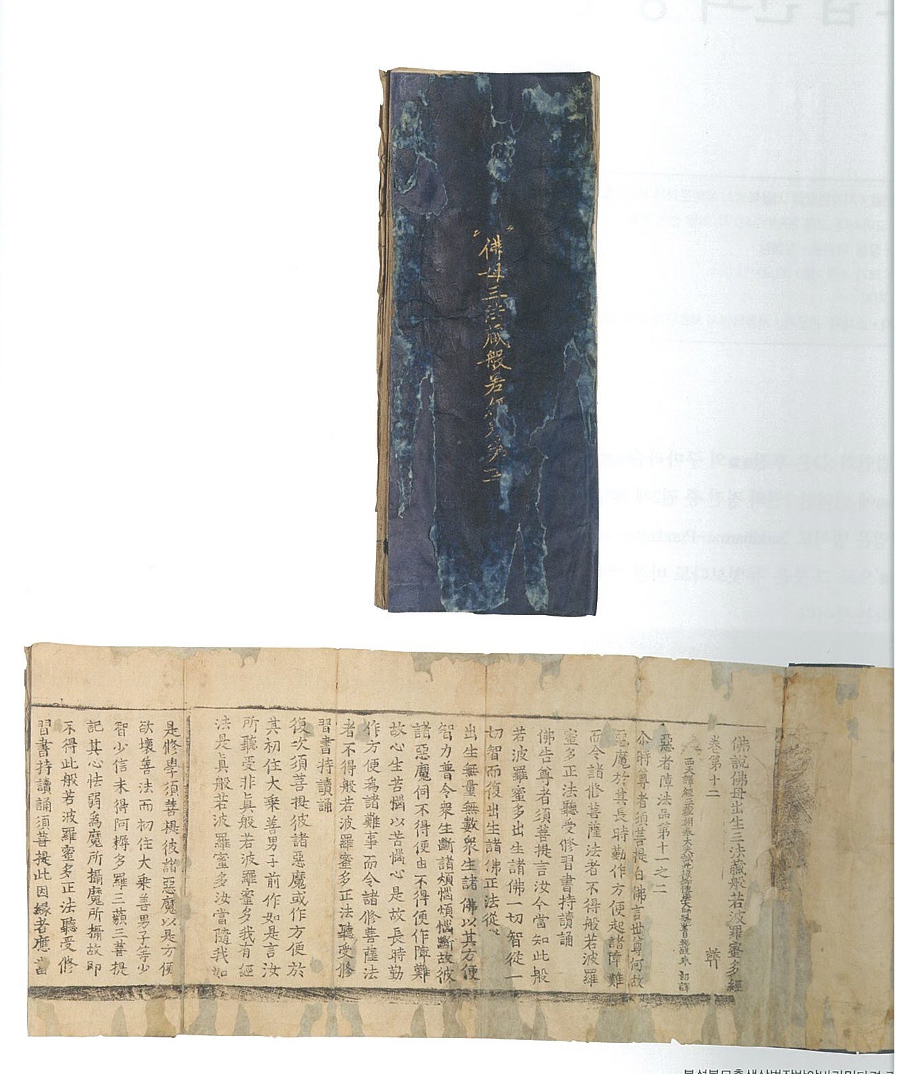 불설불모출생삼법장반야바라밀다경 권12