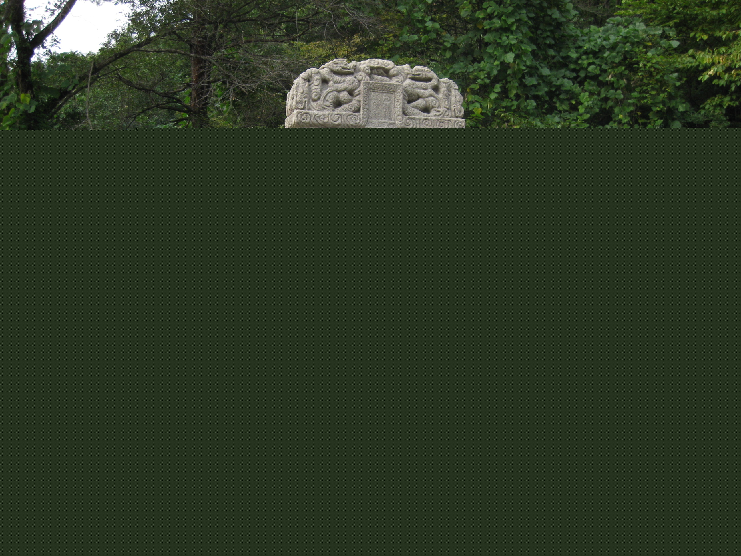 2008년 비신 복원