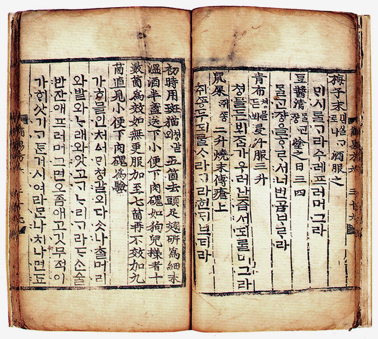 권6의 본문