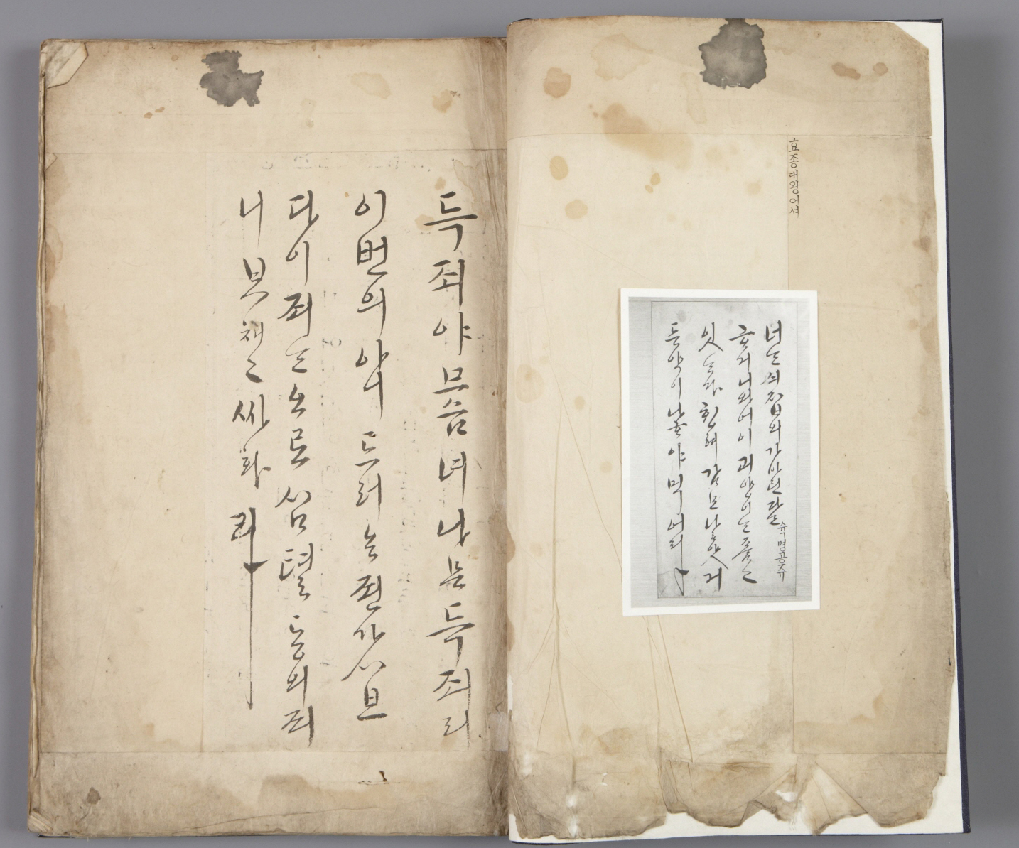 신한첩1