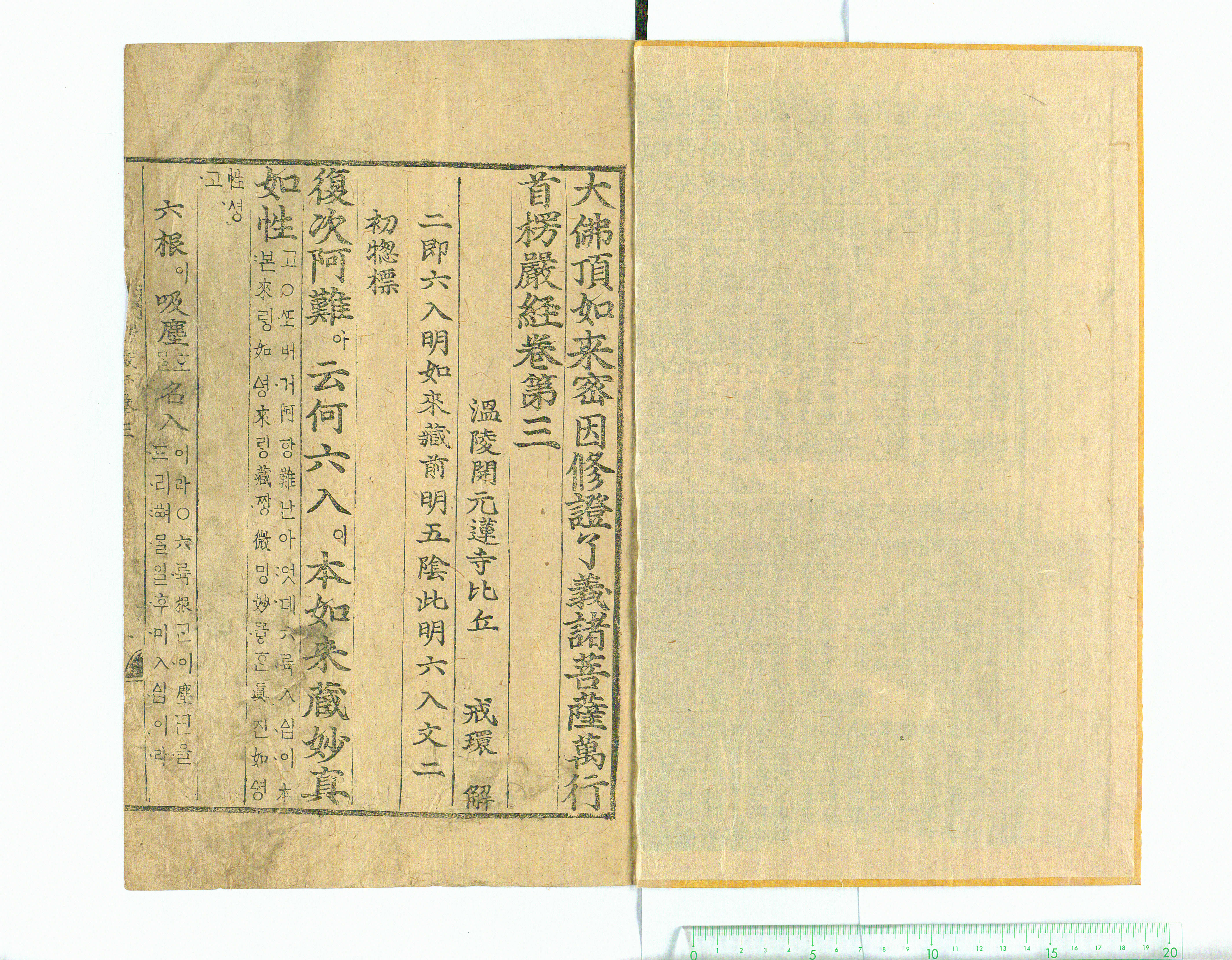 보물 대불여정래밀인수증요의제 보살만행수능엄경(언해) 권3(2011년 국보,보물 지정보고서)