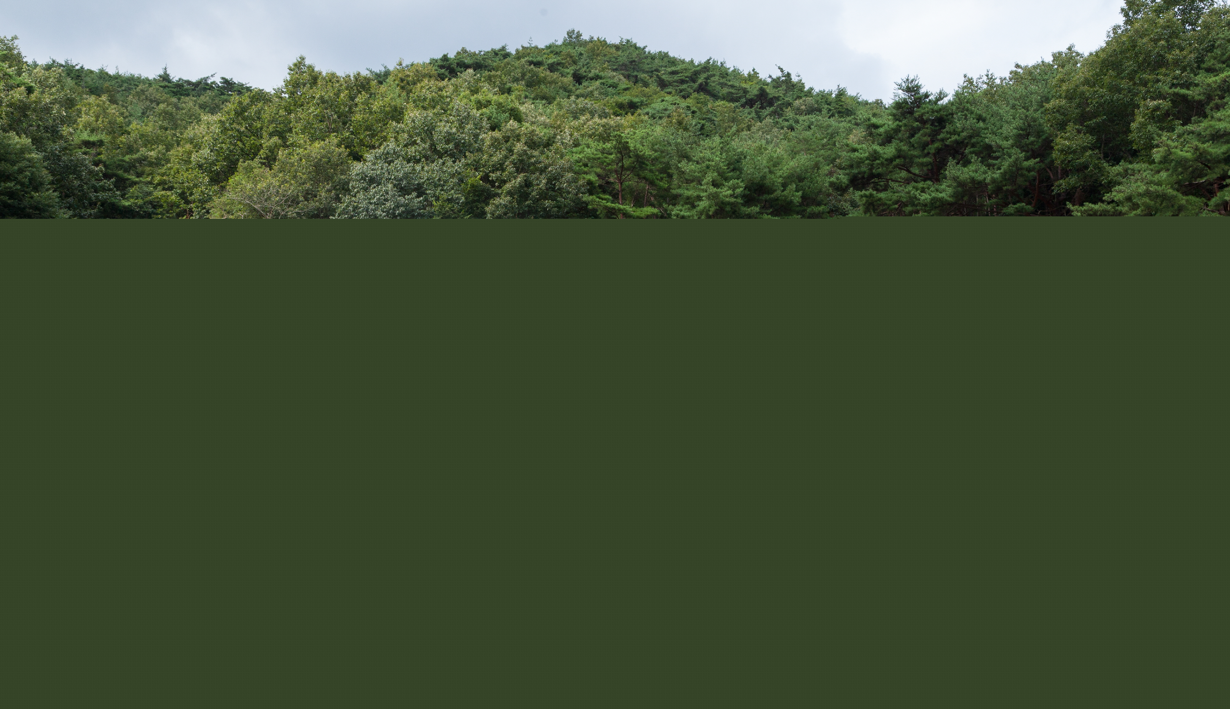 양산 신흥사 대광전_전경3 (촬영년도 : 2015년)