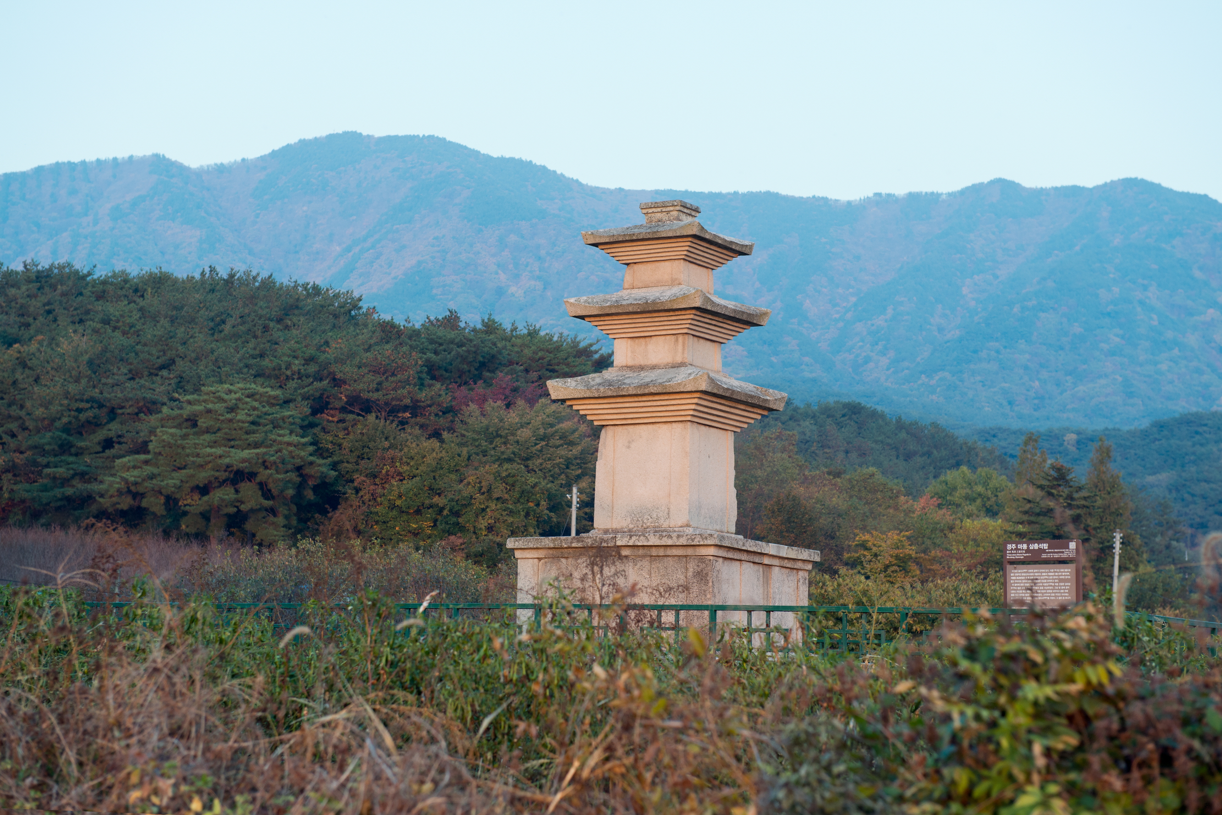 경주 마동 삼층석탑_원경 (촬영년도 : 2015년)