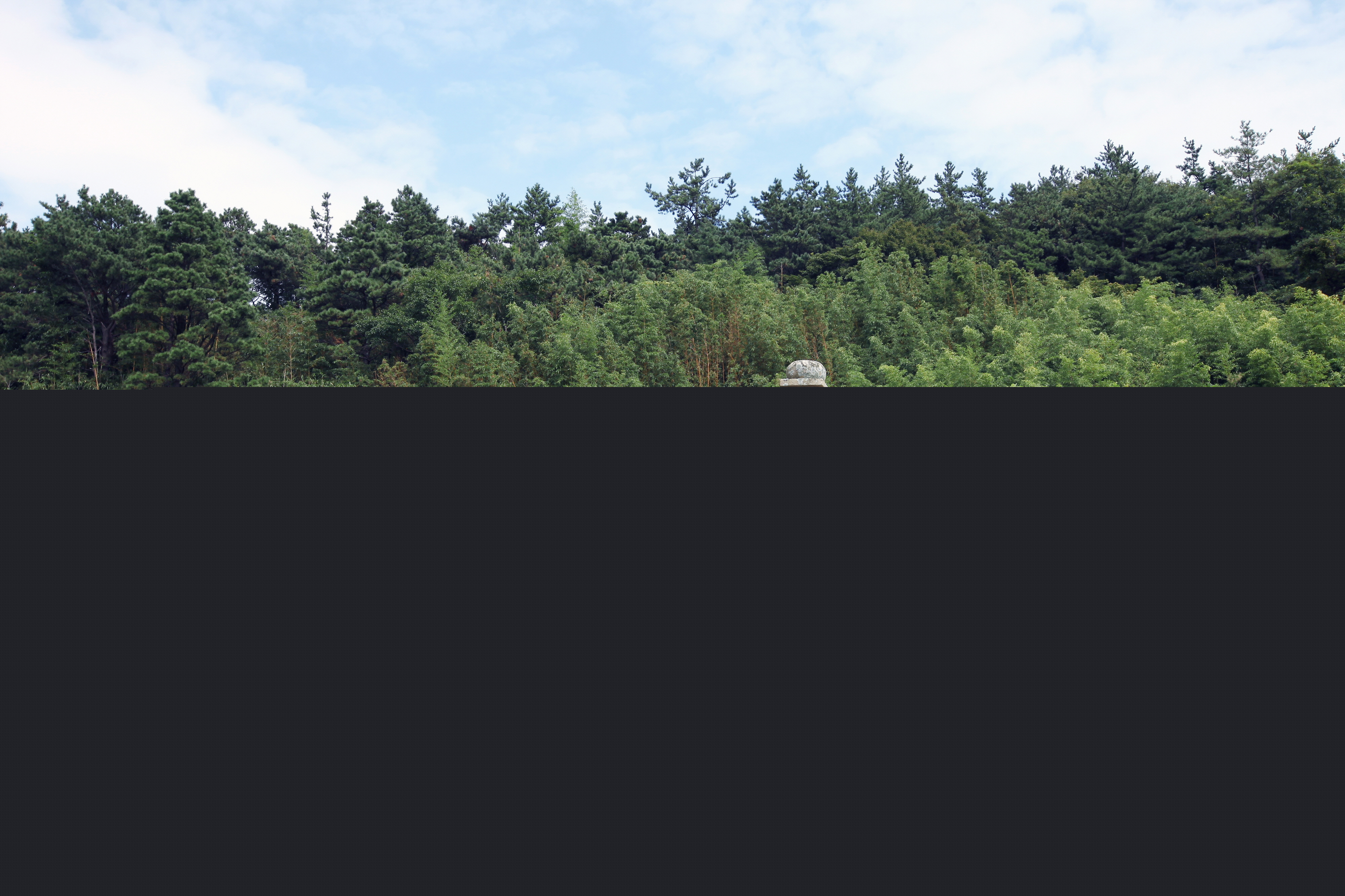 장흥 천관사 삼층석탑_남쪽전경 (촬영년도 : 2015년)