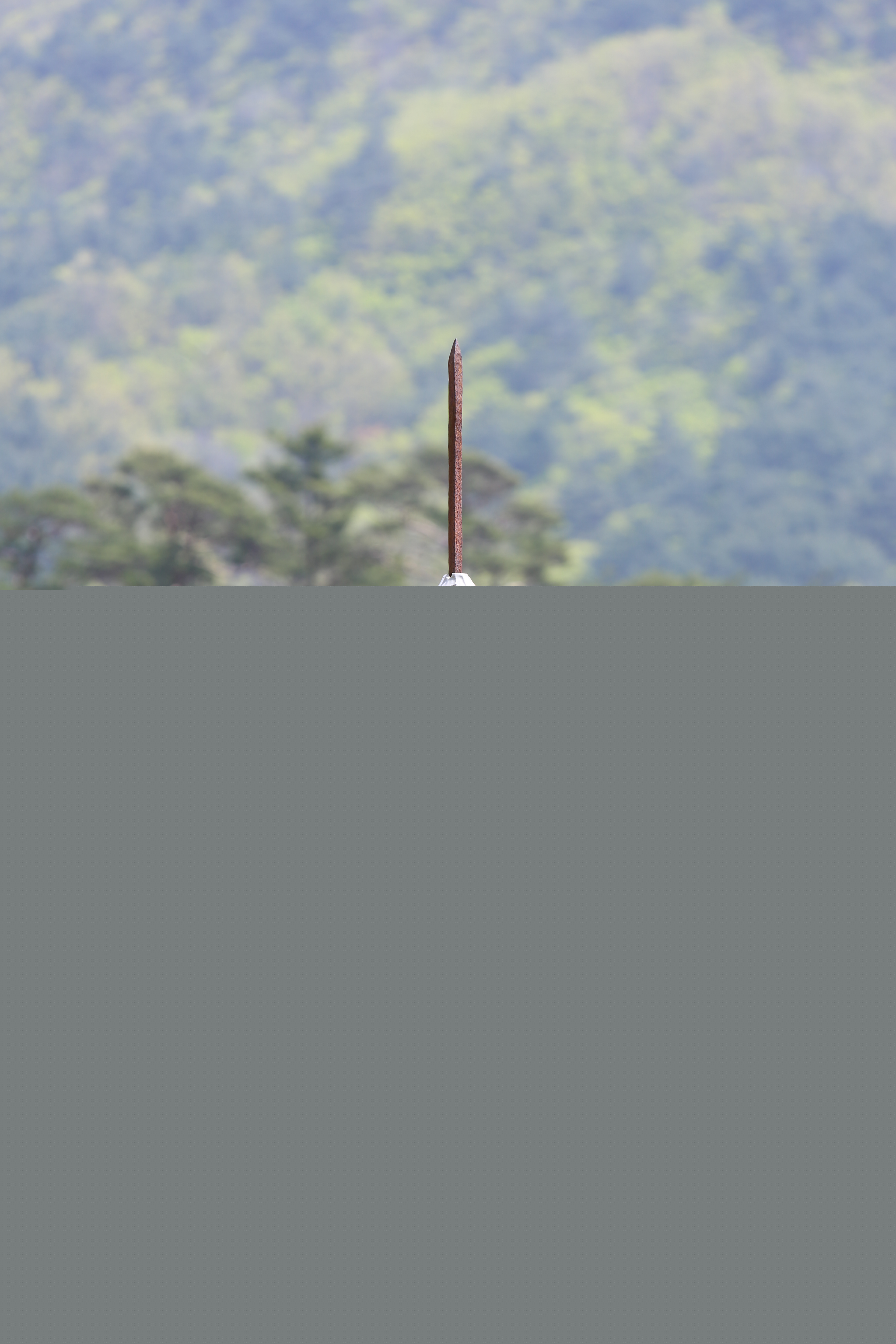 산청 대원사 다층석탑_8층 탑신부 및 상륜부(서남측면)_건축_2016년(자료출처 : 국립문화재연구소)