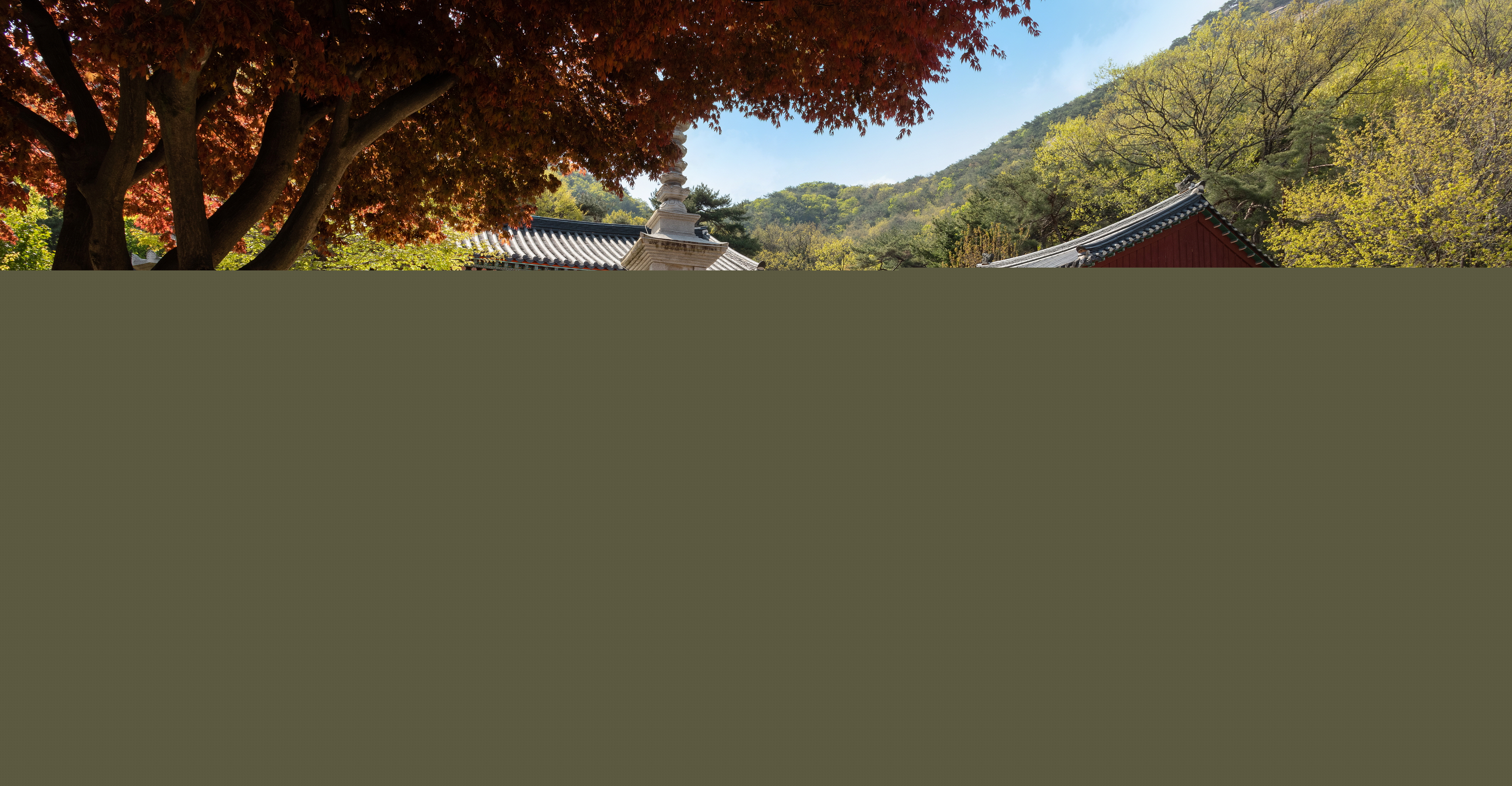 보물_남양주 불암사 목조관음보살좌상_불복장2_신국보보물전 2017-2019 특별전 도록