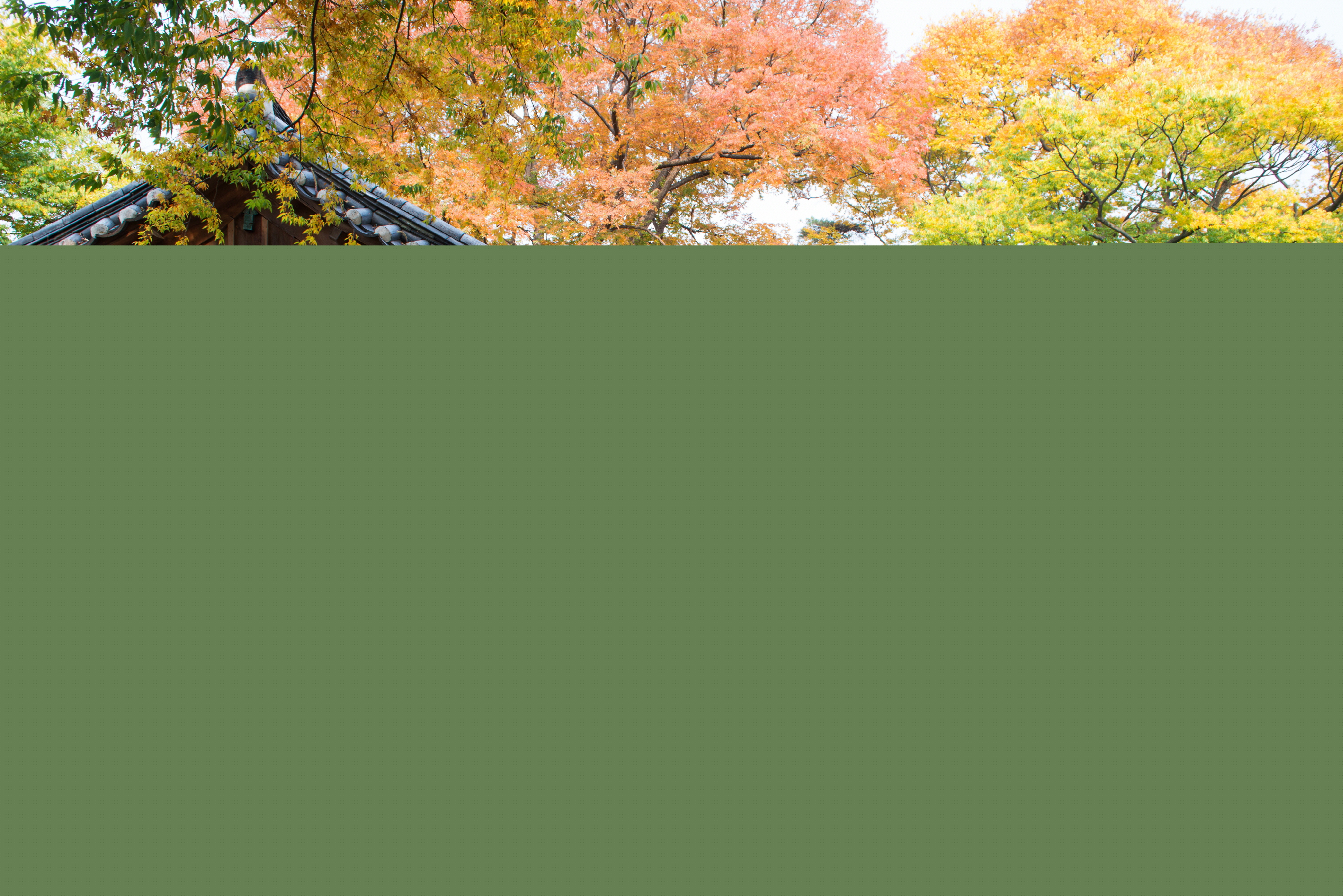 봉화 한수정_뒷면 (촬영년도 : 2015년)