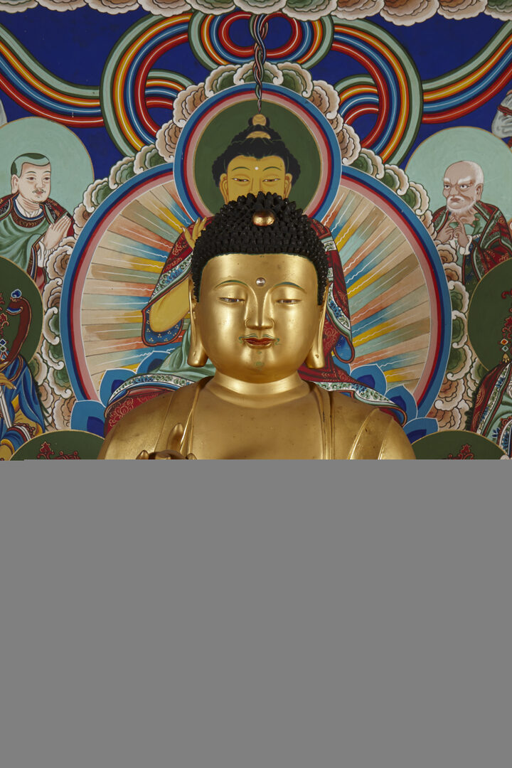 보물_당진 신암사 금동여래좌상_20160728-06_문화재대관(보물-불교조각1)